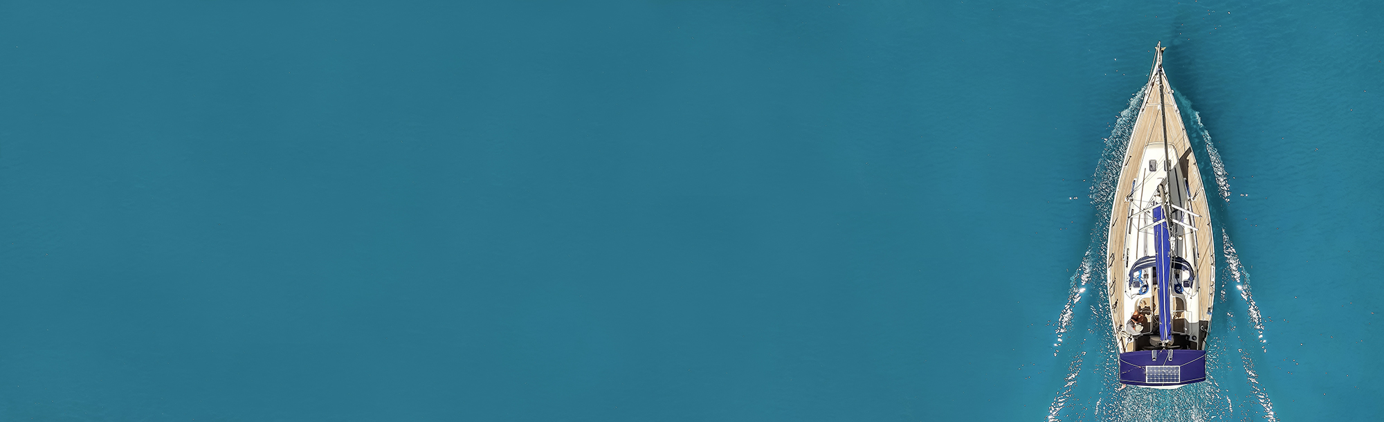 bg1.jpg