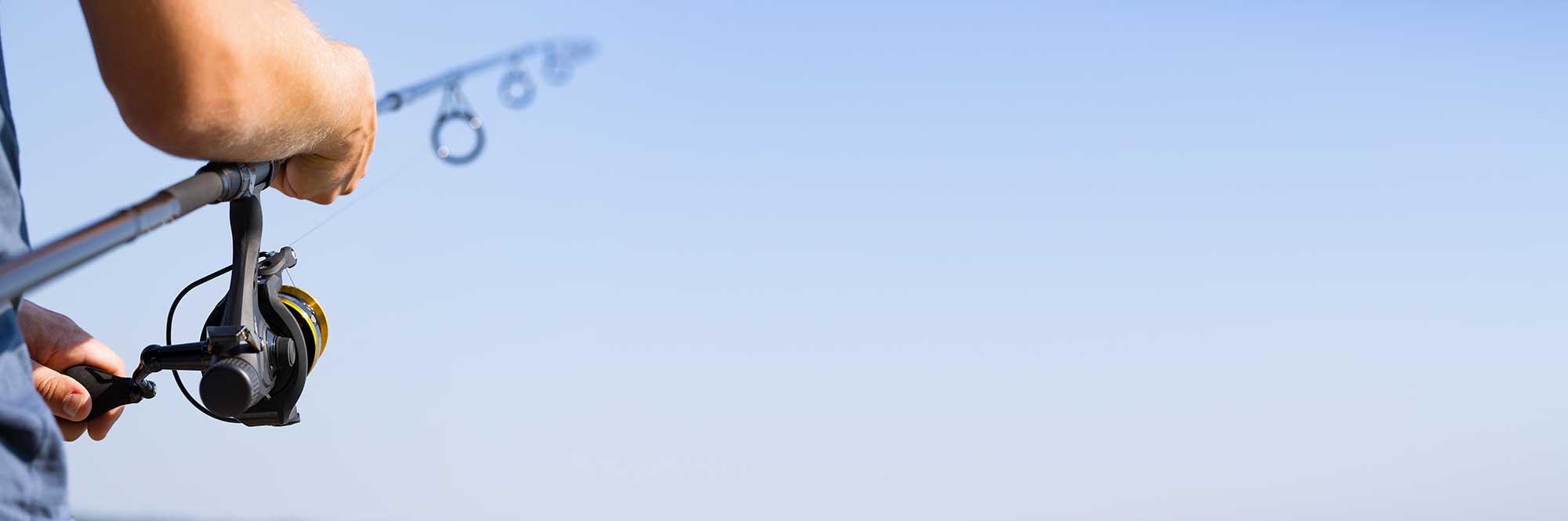bg1.jpg